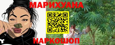 индика Кандалакша